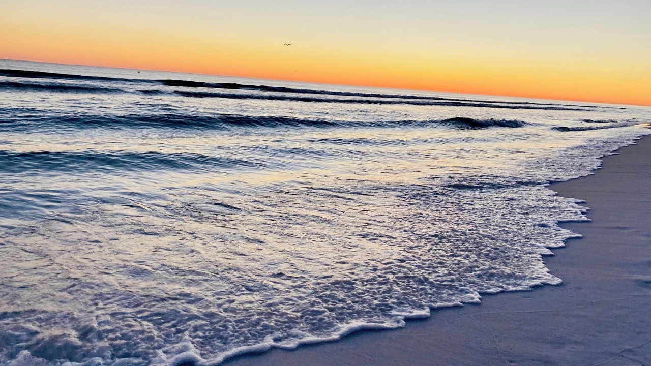 Photo of Others in Miramar Beach