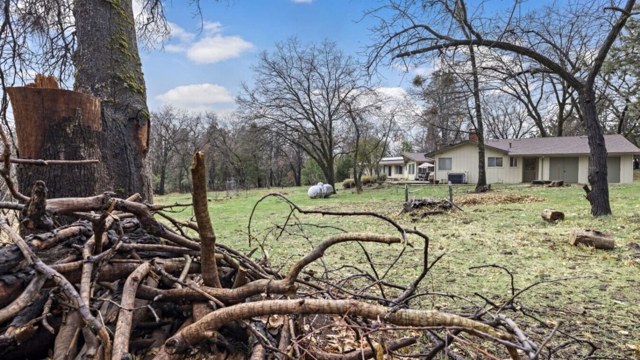 Photo of Others in Apple Hill