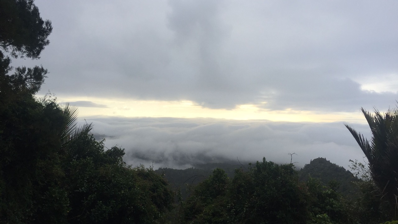 Photo of Others in Waiatarua