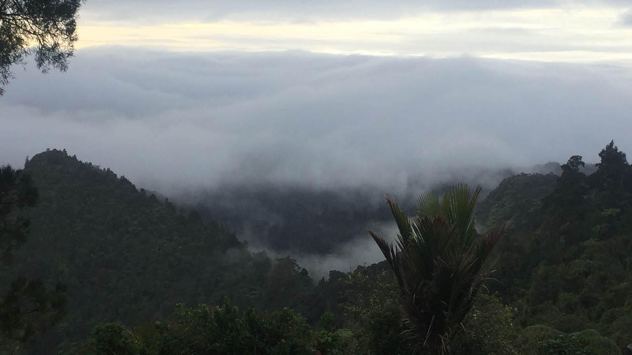 Photo of Others in Waiatarua