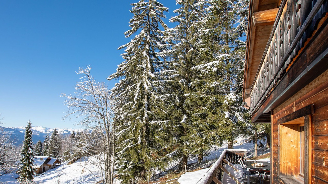 Photo of Others in Alpe des Chaux