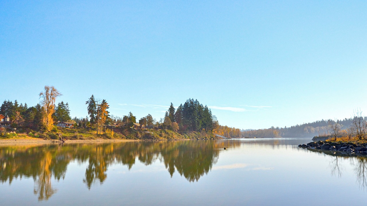 Photo of Others in Robinwood