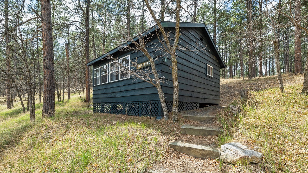 Photo of Outdoor in Keystone