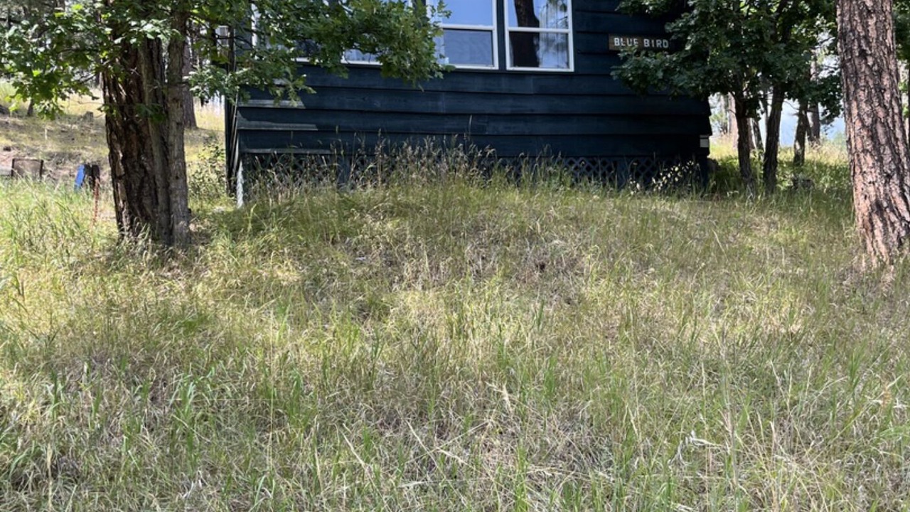 Photo of Outdoor in Keystone