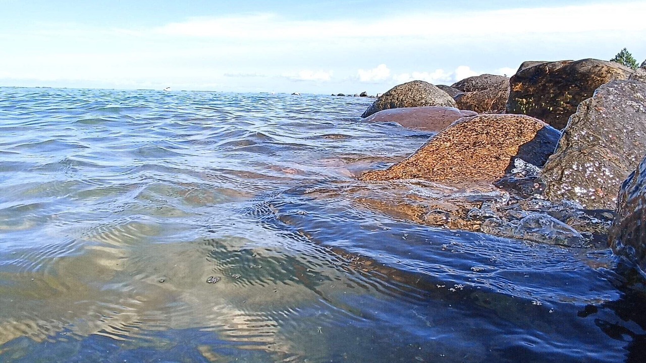 Photo of Others in Hasmark Strand