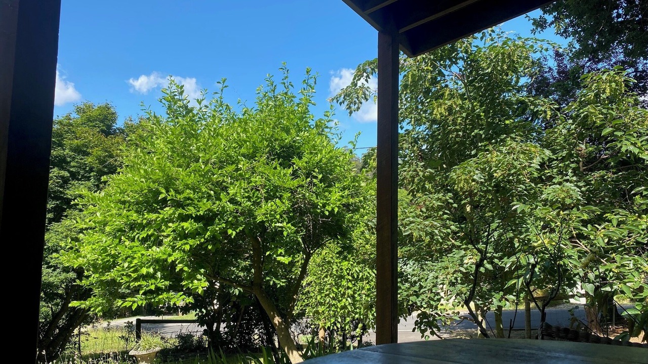 Photo of Others in Warburton