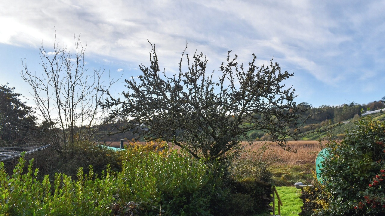 Photo of Outdoor in Morwellham