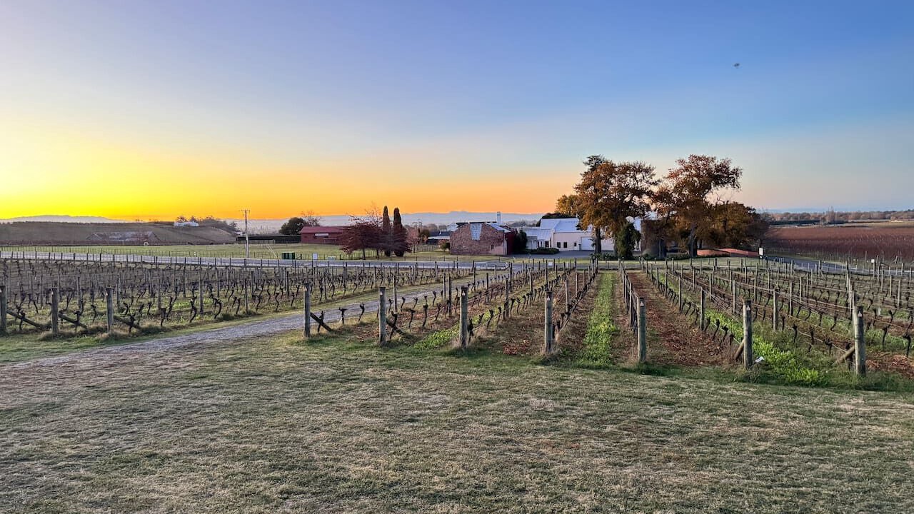 Photo of Others in Havelock North