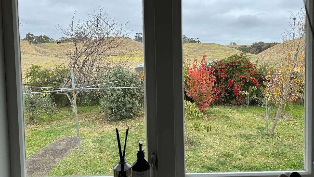 Photo of Others in Havelock North