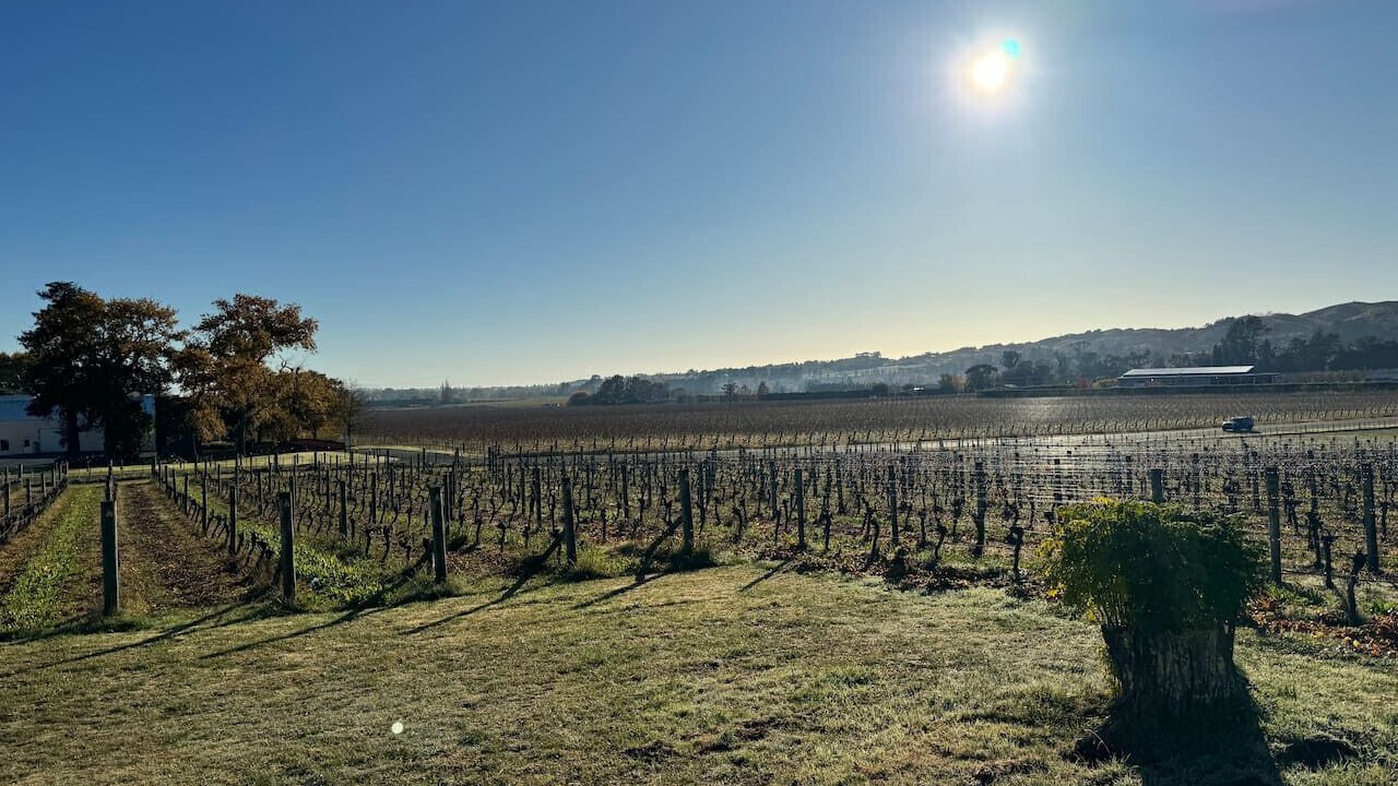 Photo of Others in Havelock North