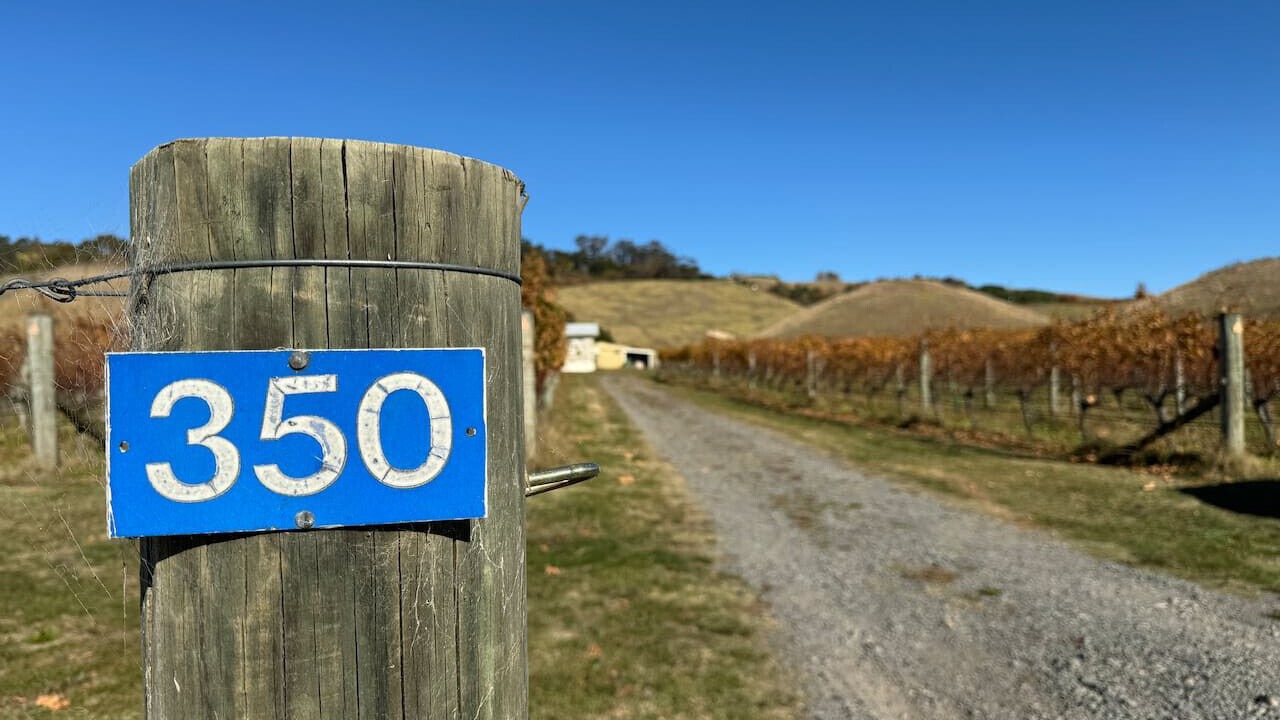 Photo of Others in Havelock North
