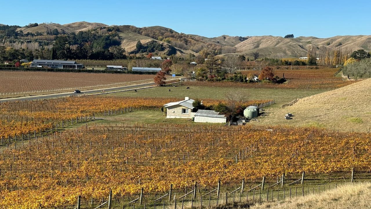 Photo of Others in Havelock North