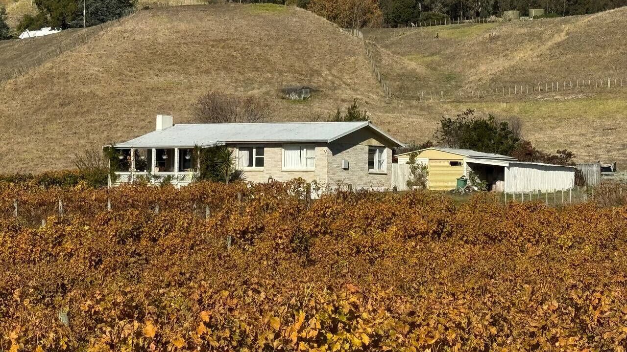 Photo of Outdoor in Havelock North