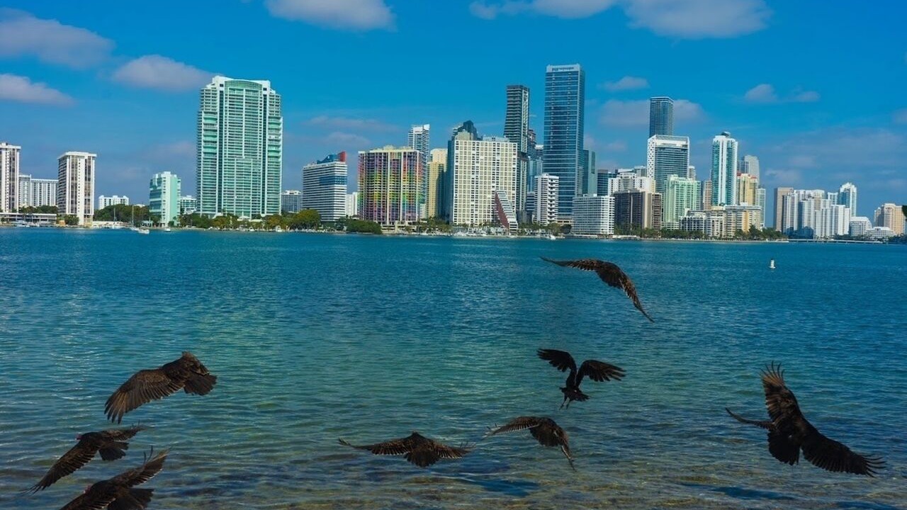 Photo of Others in Coral Way