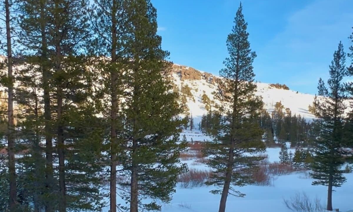 Photo of Others in Kirkwood