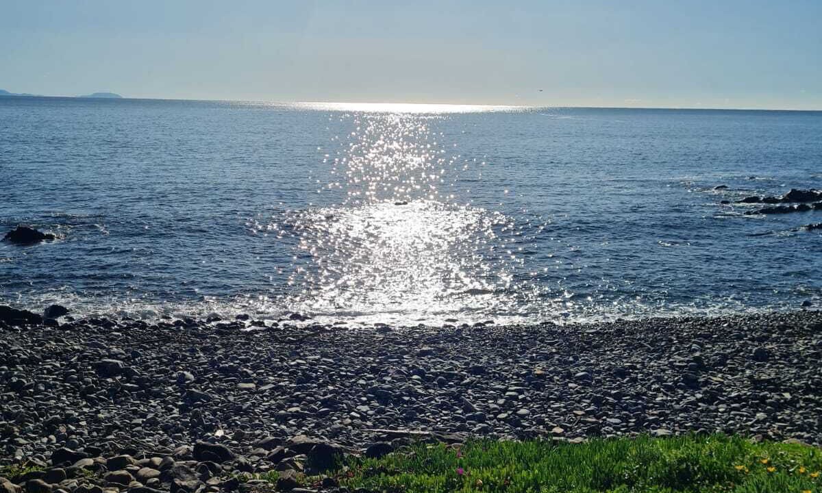 Photo of Others in Rainbow Flat