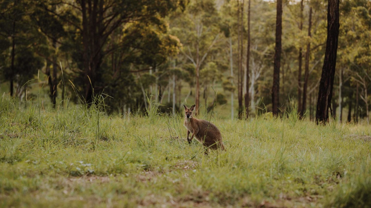 Photo of Others in Rainbow Flat