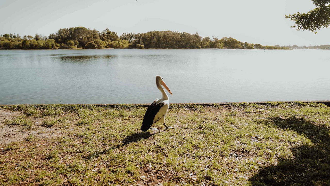 Photo of Others in Rainbow Flat