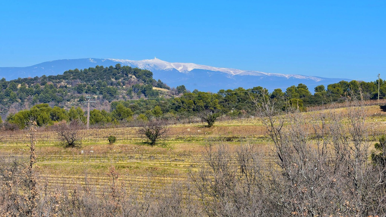 Photo of Others in Malemort-du-Comtat