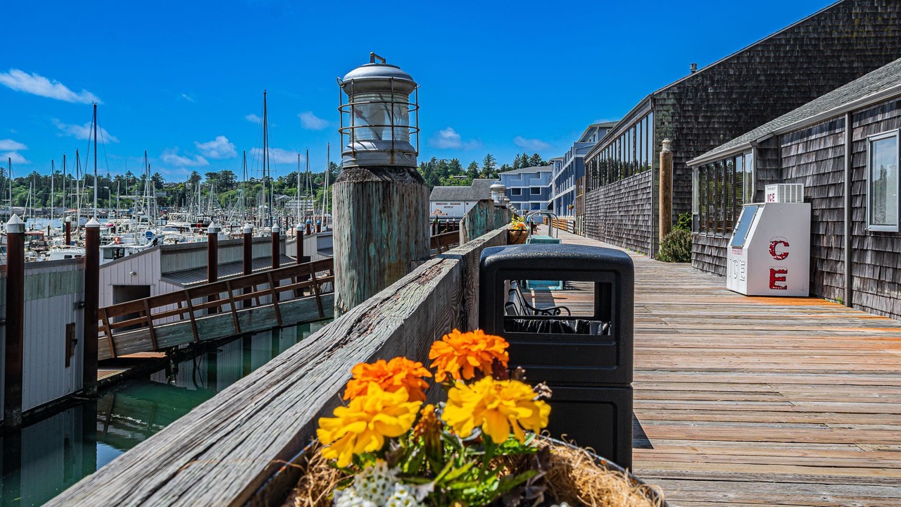 Photo of Others in Historic Bayfront