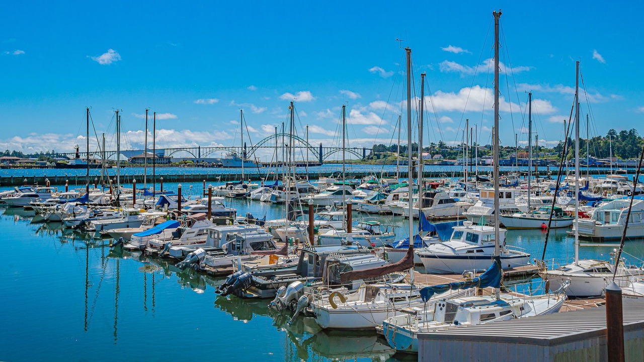 Photo of Others in Newport