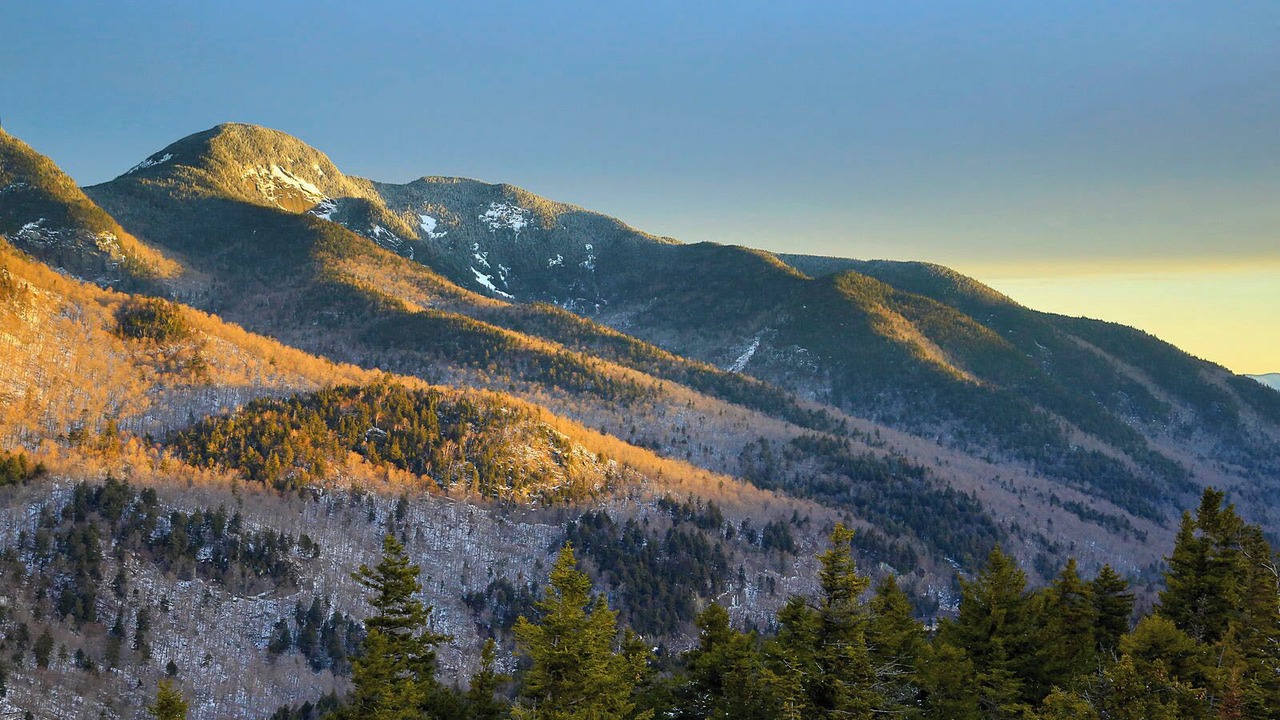 Photo of Others in Rotterdam Junction