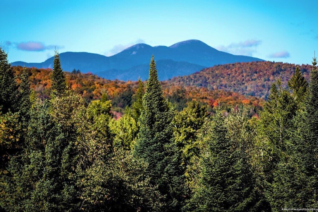 Photo of Others in Rotterdam Junction