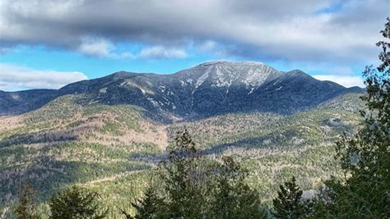 Photo of Others in Rotterdam Junction