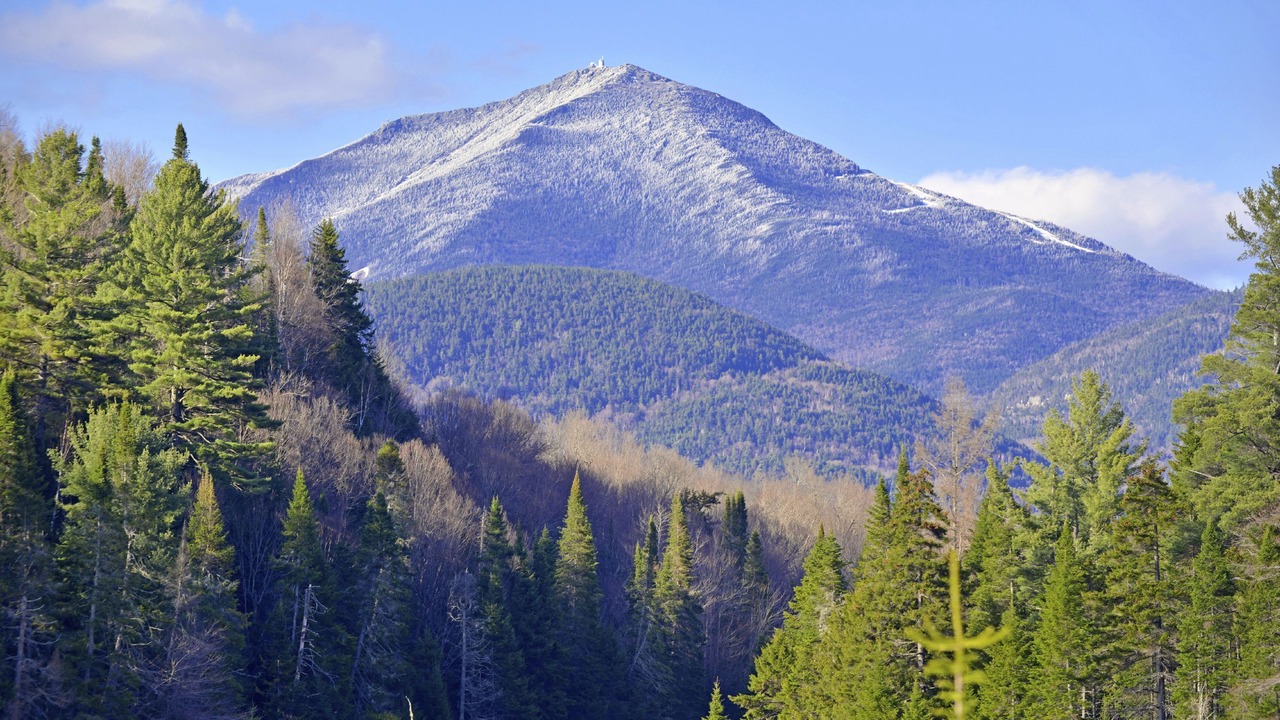 Photo of Others in Rotterdam Junction