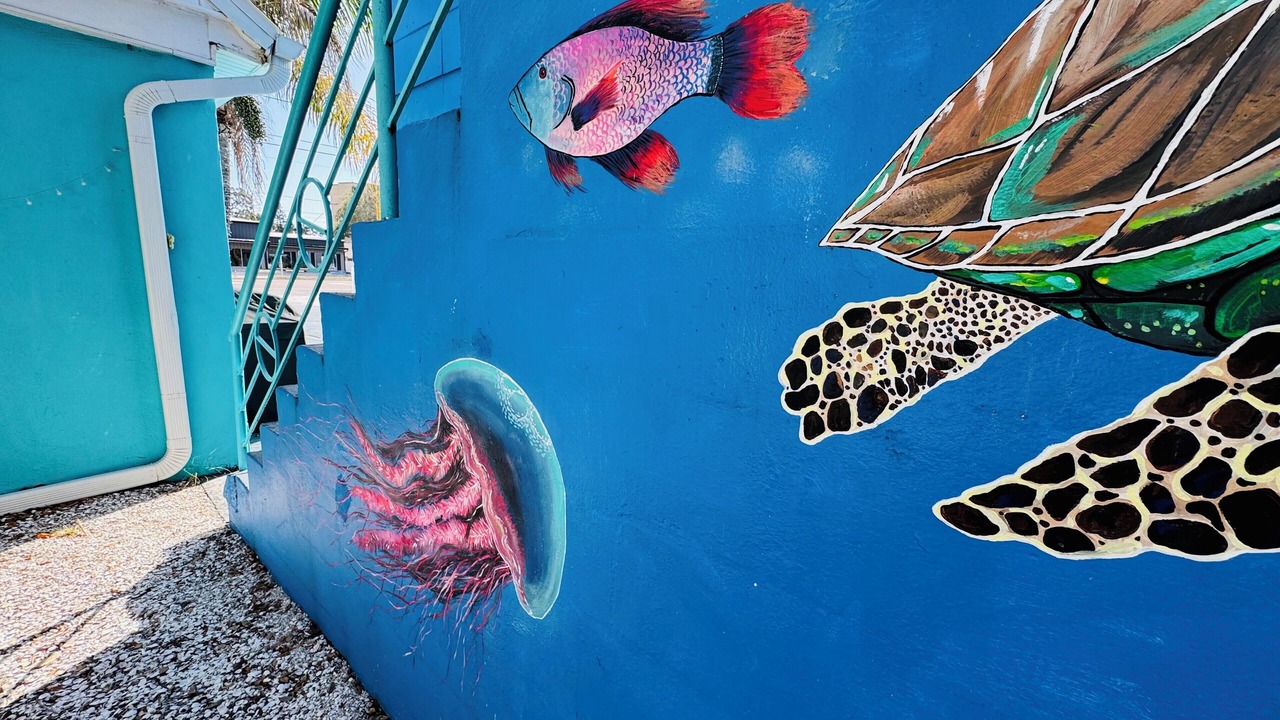 Photo of Others in Dunedin