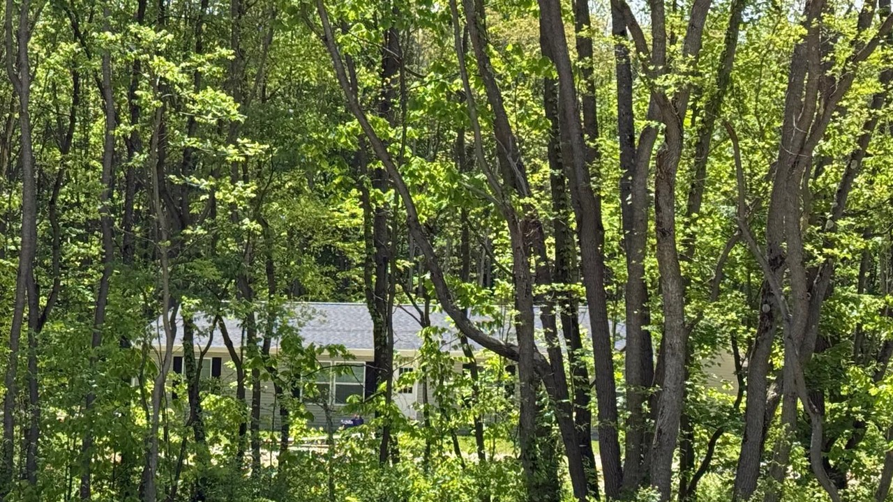 Photo of Outdoor in Bangor