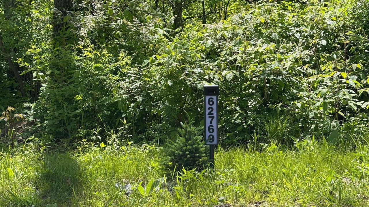 Photo of Outdoor in Bangor