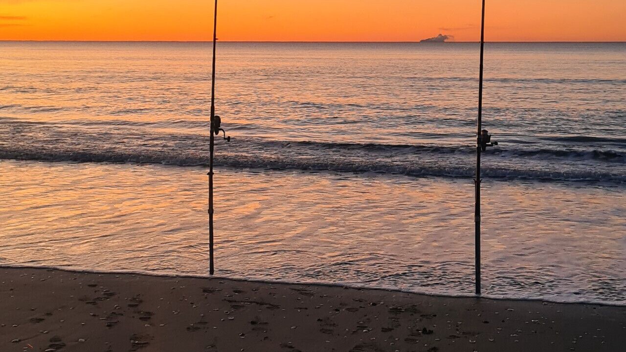 Photo of Others in Tirohanga