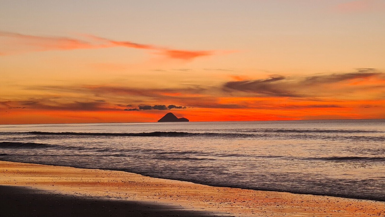 Photo of Others in Tirohanga