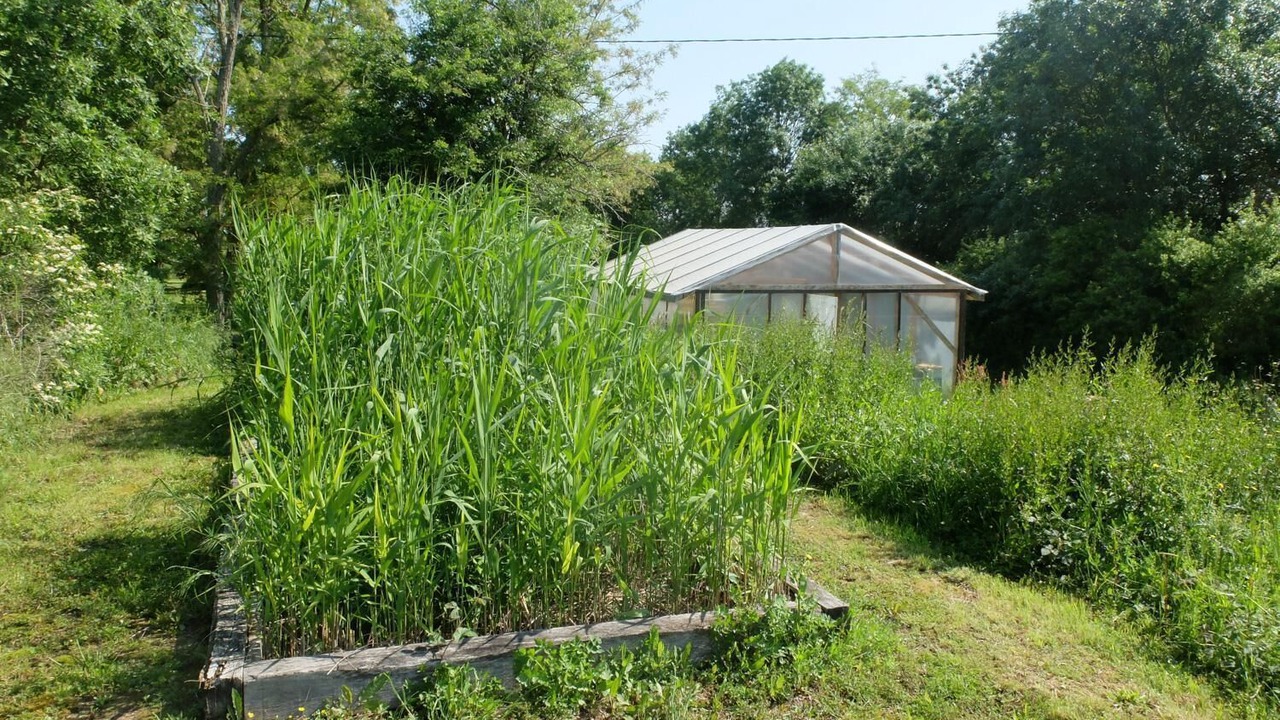 Photo of Outdoor in Poucharramet