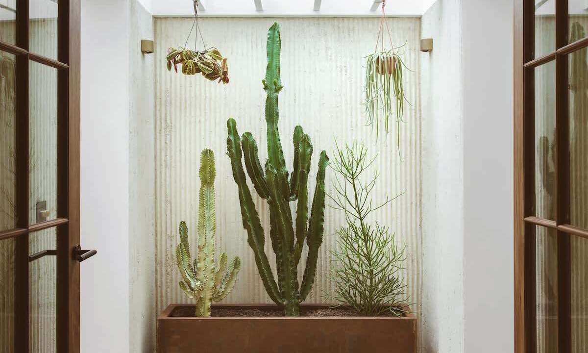 Photo of Others in Markhouse