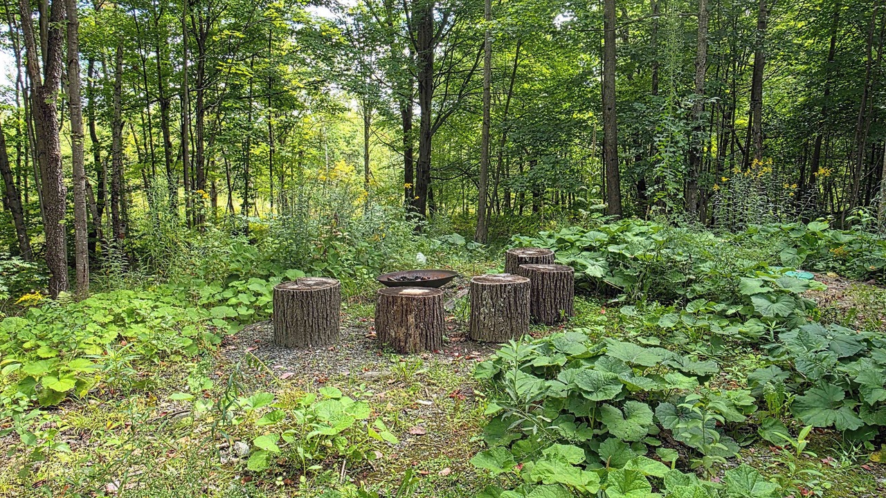 Photo of Outdoor in Potton
