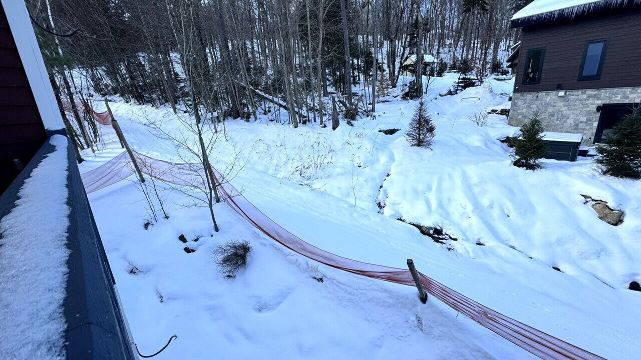 Photo of Others in West Dover