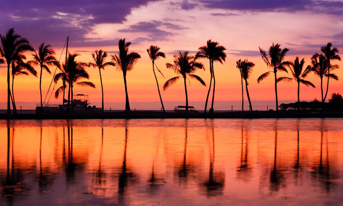 Photo of Others in Waikiki