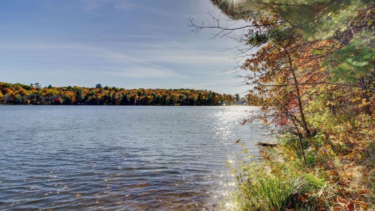 Photo of Others in Brainerd