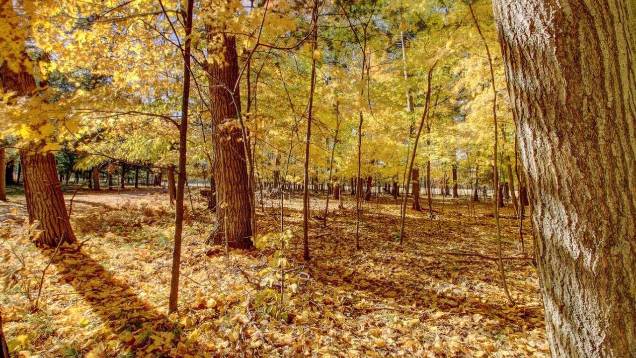 Photo of Others in Brainerd
