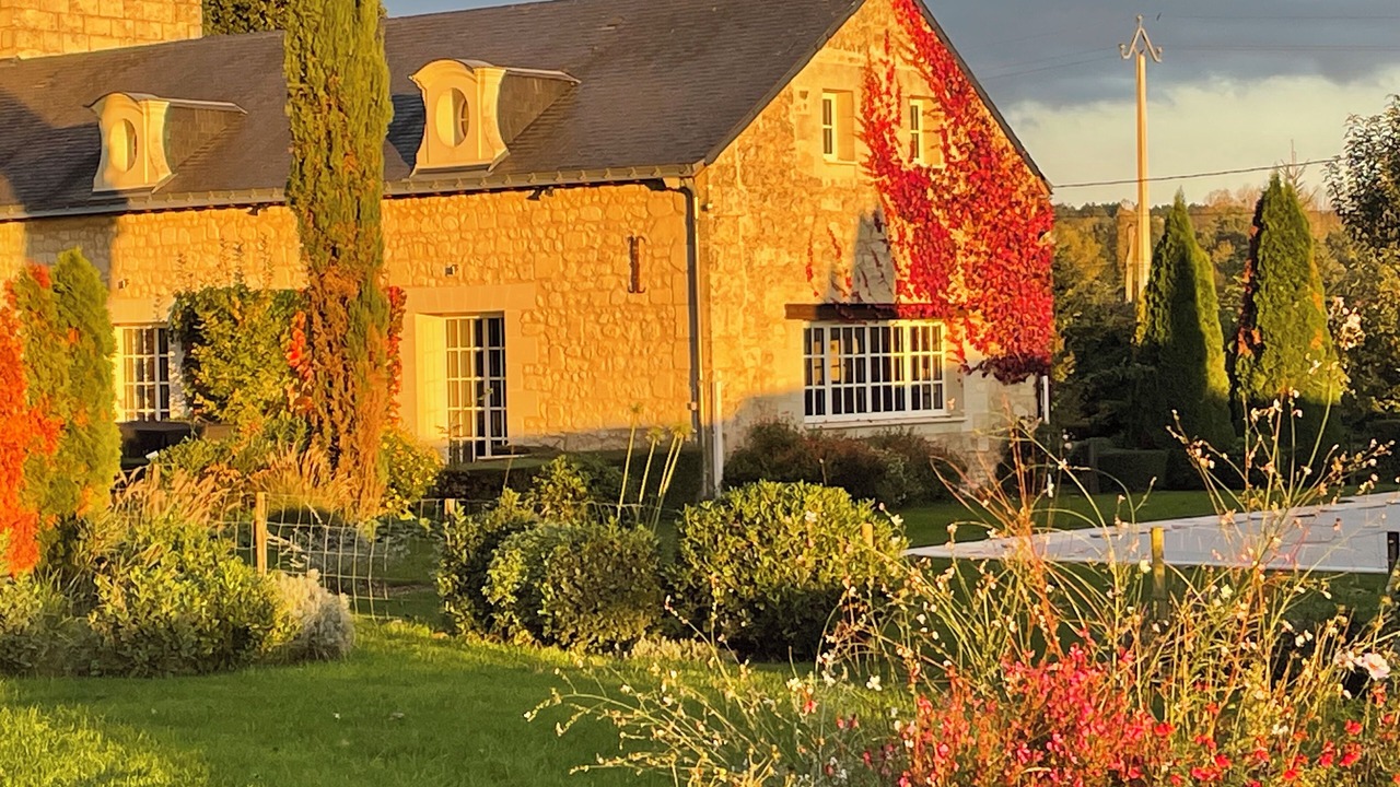 Photo of Outdoor in Allonnes