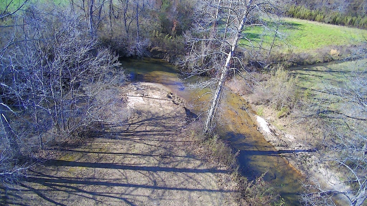 Photo of Others in Dahlonega