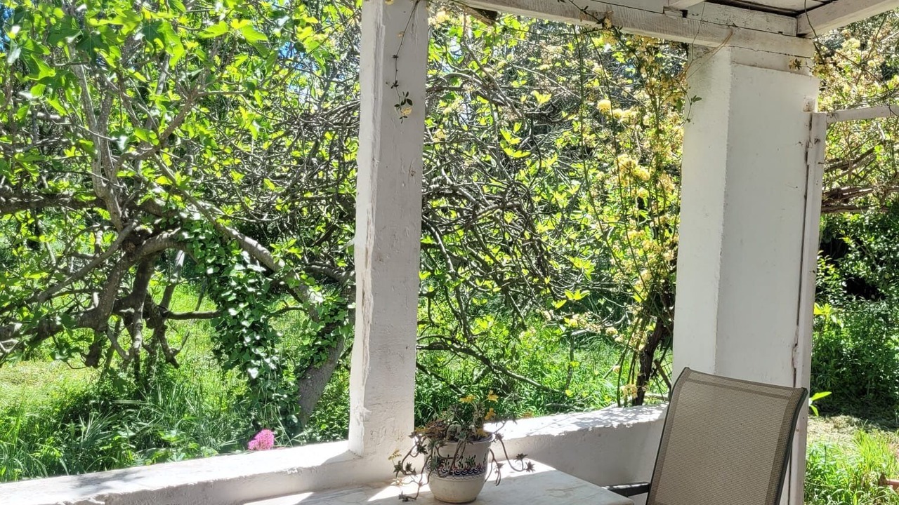 Photo of Outdoor in Ille-sur-Tet
