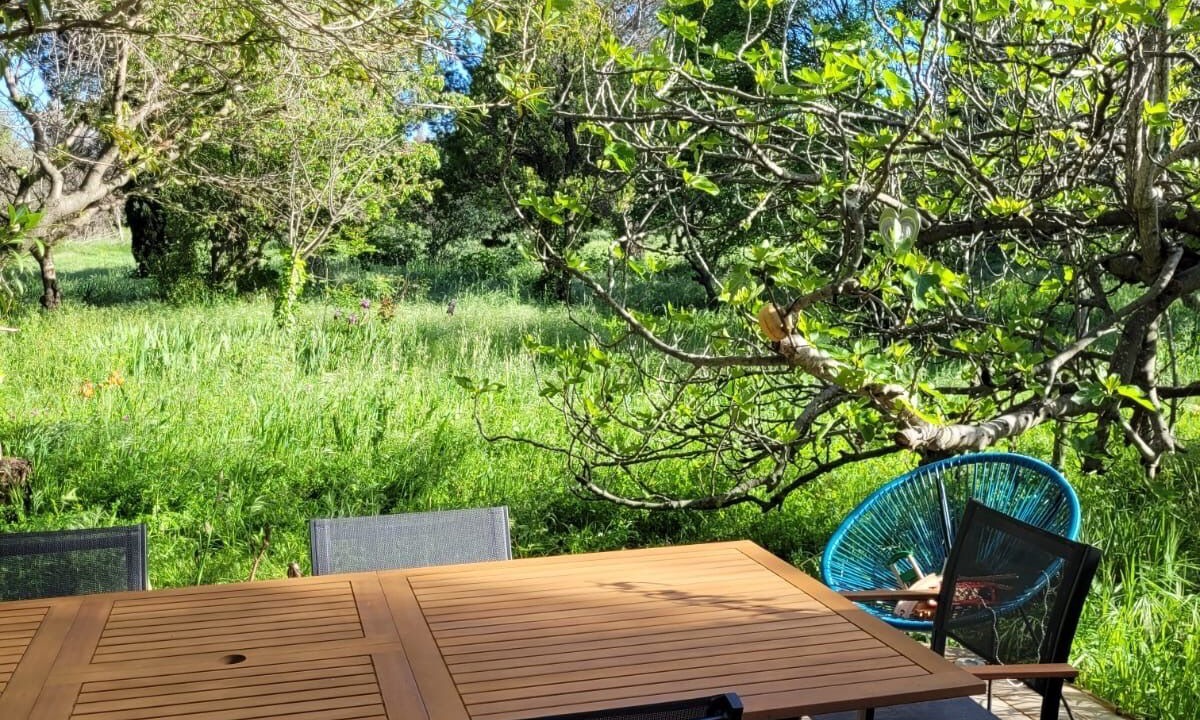 Photo of Outdoor in Ille-sur-Tet