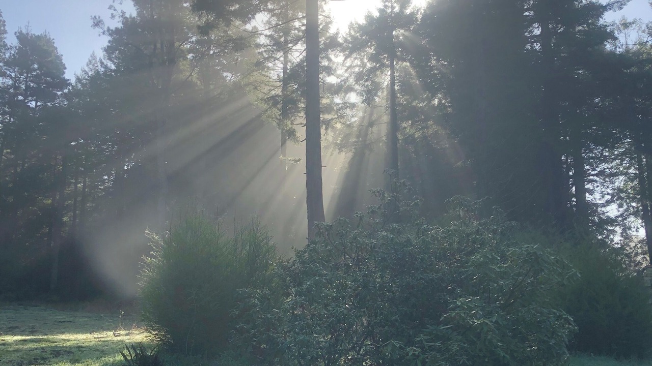 Photo of Others in Cleone