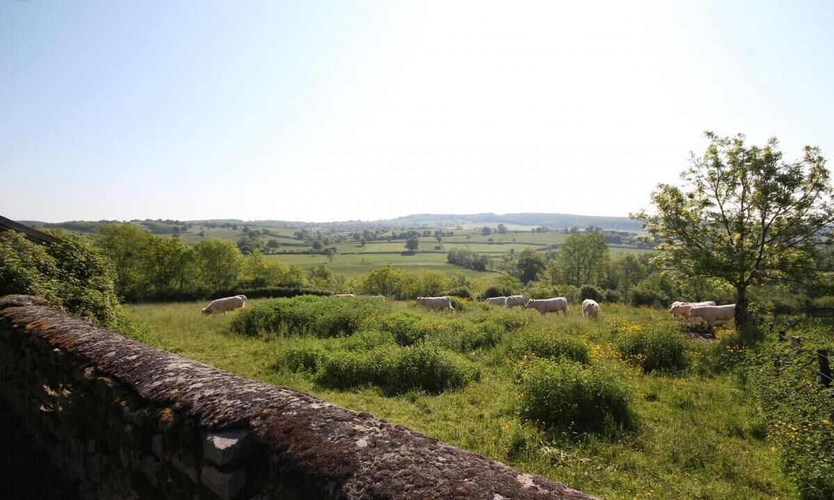 Photo of Others in Sigy-le-Chatel