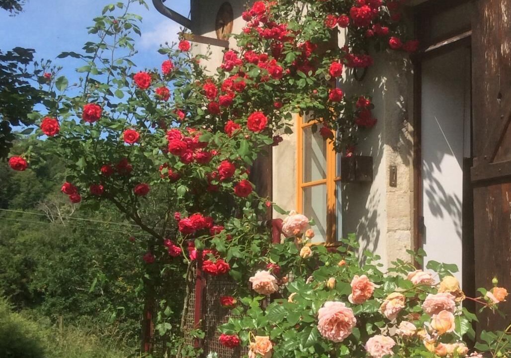 Photo of Outdoor in Chissey-en-Morvan