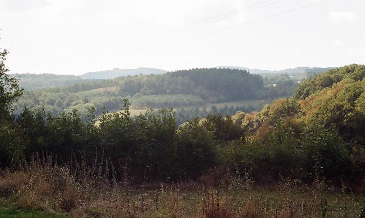 Photo of Others in Chissey-en-Morvan