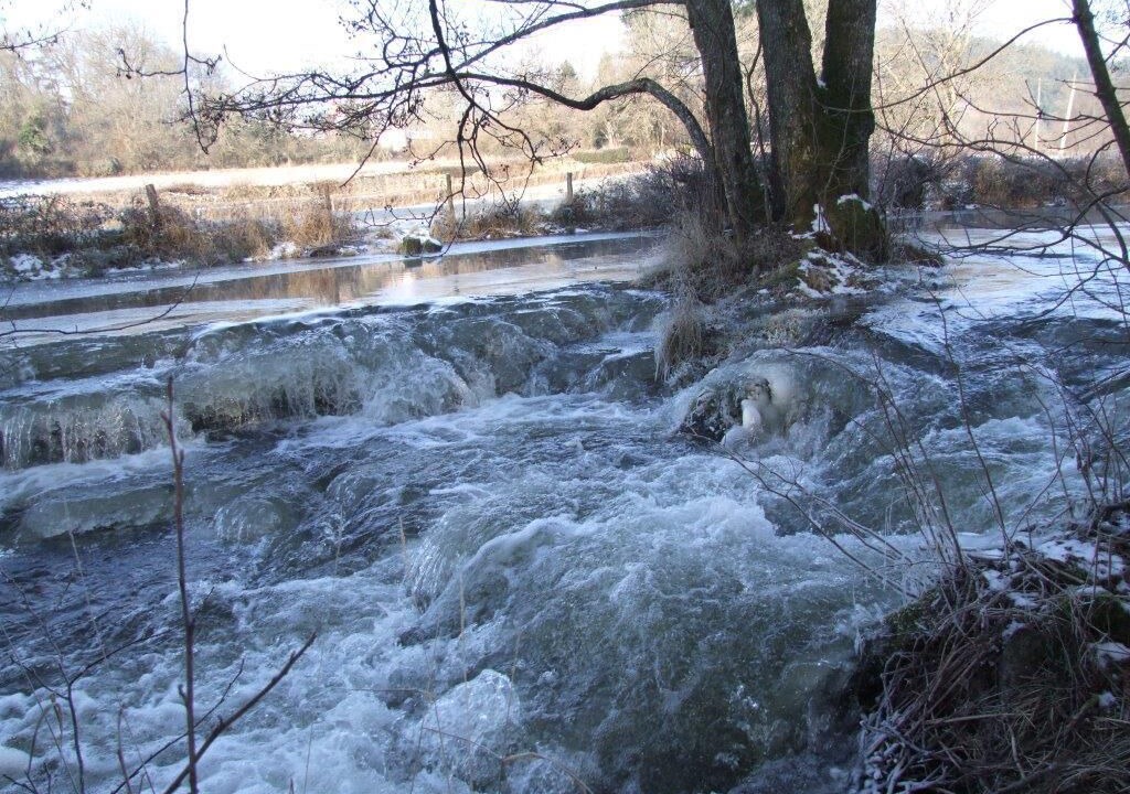Photo of Others in Chissey-en-Morvan